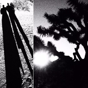 Auf dem Bild sind zwei Schwarz-weiß-Aufnahmen aus dem National Park Yosuha Tree zu sehen.